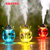 260ML USB Beetle Humidifier